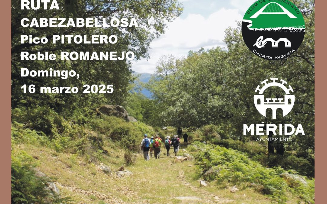 CABEZABELLOSA  PICO PITOLERO Y ROBLE ROMANEJO