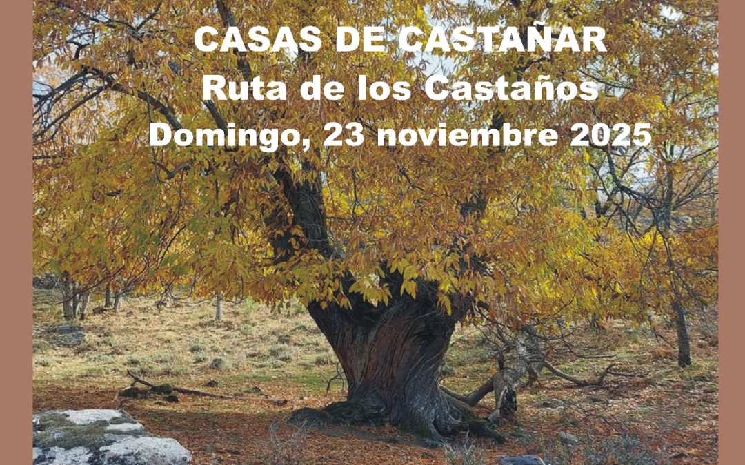 CASAS DEL CASTAÑAR RUTA DE LOS CASTAÑOS
