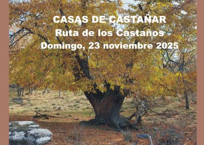 CASAS DEL CASTAÑAR RUTA DE LOS CASTAÑOS