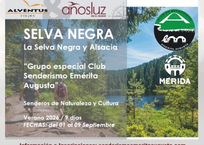 VIAJE A LA SELVA NEGRA Y ALSACIA