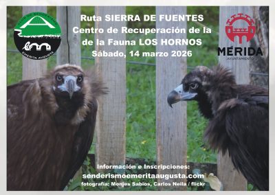 RUTA RUTA SIERRA DE FUENTES